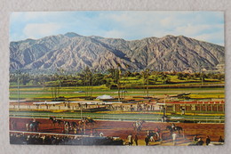 (10/1/82) AK "Santa Anita" Racetrack - Santa Ana