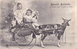 Cpa,1904,bouno Annado,bonne Année ,message De Fraternité,étrennes Pour Grands Et Petits,attelage De Chèvre - New Year