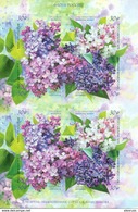 Russia 2018,Flora Of Russia Varieties Of Lilac FULL SHEET MNH** - Nuovi