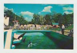 London Ontario Canada - Storybook Gardens - Sea Lion Pool - Springbank Park - 2 Scans - London