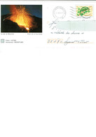 Enveloppe Entier Postale  De France - ILE DE LA REUNION - éruption Du Piton De La Fournaise / Caméléon - Volcanos