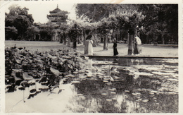 Carte Photo 1949,asie,viét-nam,saigon , Ho-chi Minh,cochinchine, Tonkin - Vietnam