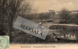 CPA  Neuvy Sautour Une Gardeuse D'Oies à La Vallée - Neuvy Sautour