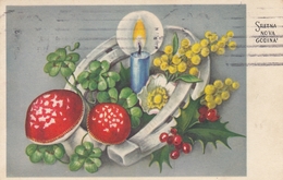Mushrooms Champignons Clover Candle 1943 - Funghi