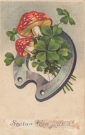 Mushrooms Champignons Horseshoe Clover New Year 1935 - Funghi