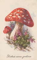 Mushrooms Champignons Clover 1955 - Pilze