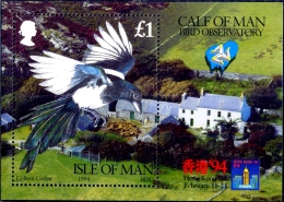 BIRDS-BIRDS OBSERVATORY-EURASIAN MAGPIE-MS-ISLE OF MAN-1994-SCARCE-MNH-M2-96 - Cuco, Cuclillos