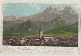 D4373- SAALFELDEN- TOWN PANORAMA, MOUNTAINS - Saalfelden