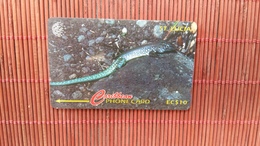 Phonecard St Lucia Animal  Number 99CSLA Used Only 30.000 MAde Rare - St. Lucia