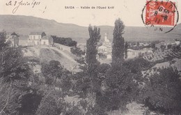 SAIDA - Vallée De L'Oued Kriff - Saïda
