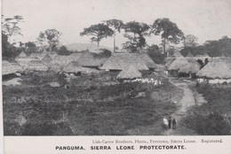 PANGUMA - Sierra Leone