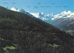 SUISSE,HELVETIA,SWISS,SWITZERLAND,SVIZZERA,VALAIS,VAL ANNIVIERS,FORET,RELIEF - Anniviers