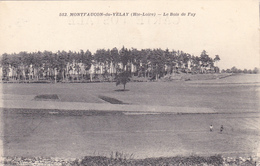 Cpa,MONTFAUCON-DU VELAY,haute Loire,le Bois De Fay En 1900,vue Sur Les Paysans En Plein Travail De La Terre,rare - Montfaucon En Velay