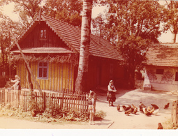 CARTE PHOTO  ,FERME  En POLOGNE,avec Poules,élevage, Poulailler à L'ancienne,enfants Et Habitant De WIES ZALIPIE - Farms