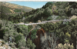 Saint Vallier De Thiey,entre Alpes Et Mer,prés De Grasse,cannes,nice,statio N Estivale,pont Sur La Siagne,1960 - Grasse