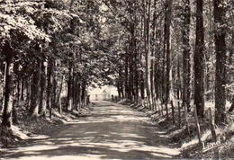 49 - LE LOUROUX - BECONNAIS - LE SOUS BOIS - MAISON DE CONVALESCENCE ET DE REPOS DU CHILLON - CURE - Le Louroux Beconnais