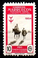 MAROC ESPAGNOL. N°459 De 1954. Ane. - Ezels