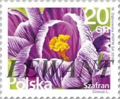 2016.07.06. Flowers And Fruits (9) - Crocus Flower - MNH - Neufs