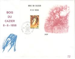 FDC Rodan Bloc 57 Bois Du Cazier - 1981-1990