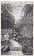AFRIQUE,AFRIKA,AFRICA,MAGHREB,Algérie,Algéria,BISKRA, EN 1905,route De Touggourt,oasis,femme Croyante,voilée - Biskra