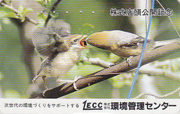 Télécarte Japon / 110-011 - Animal - OISEAU Au Nid - SONG BIRD Feeding Japan Phonecard - BE 4480 - Sperlingsvögel & Singvögel