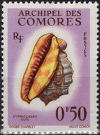 COMORES Poste  19 ** MNH Coquillage Shell (CV 1,60 €) - Oblitérés