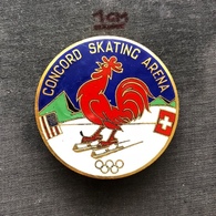 Badge (Pin) ZN006906 - Ice Skating USA Switzerland Concord Skating Arena - Skating (Figure)