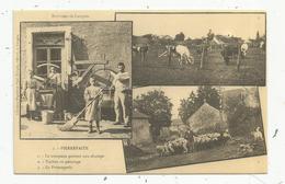 Reproduction De Cp, Ferme , Agriculture , PIERREFAITE , Haute Marne , Multi Vues , Troupeau , Vaches , Fromagerie - Granja