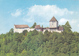 SUISSE,HELVETIA,SWISS,SWITZERLAND,SVIZZERA,SCHWEIZ,SCHAFFHOUSE,CHATEAU HOHENKLIGEN - Schaffhouse