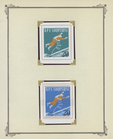 29645 Thematik: Raumfahrt / Astronautics: 1940/1970 (ca.), Comprehensive And Idiosyncratic Mint Collection - Andere & Zonder Classificatie