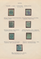 29676 Estland: 1918/1920, Specialised Collection Of Early Issues, Neatly Arranged On Written Up Pages, Com - Estonia