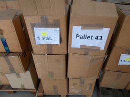 29935 Nachlässe: PALETTE 6 - Reichhaltiger Bestand Von Losen Marken In Etlichen Kartons, Eine Ganze Palett - Lots & Kiloware (min. 1000 Stück)