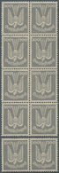 30016 Deutsches Reich - Weimar: 1924, Flugpost Holztaube, Zehn Komplette Serien In Einheiten, Postfrisch. - Unused Stamps