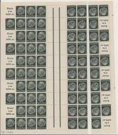 31684 Deutsches Reich - Markenheftchenbogen: 1933/42, Sammlung Von MHB Und Allen Einheitengeberbogen, Gesa - Postzegelboekjes