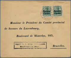 31876 Deutsche Besetzung I. WK: Landespost In Belgien: 1915/1917, 46 Inlandsbriefe Jeweils Mit Zensur, Vie - Bezetting 1914-18