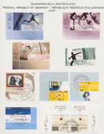 32707 Bundesrepublik Deutschland: 1949/2009, Sauber Gestempelte Sammlung In Zwei Schaubek-Alben Sauber Auf - Andere & Zonder Classificatie