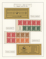 32824 Bundesrepublik - Zusammendrucke: 1951/1974, Umfassende Sammlung Der Zusammendruck-Kombinationen Post - Zusammendrucke