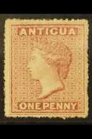 1863-67  1d Rosy Mauve, Watermark Small Star, Rough Perf 14-16, SG 5, Very Fine Mint With Original Gum. For More Images, - Other & Unclassified