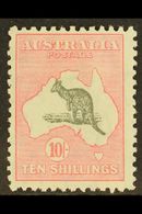 1931-36  10s Grey & Pink Roo, SG 136, Fine Mint, Lovely Fresh Colour. For More Images, Please Visit Http://www.sandafayr - Other & Unclassified