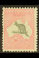 1931-36  10s Grey & Pink Roo, SG 136, Fine Mint, Lovely Fresh Colour. For More Images, Please Visit Http://www.sandafayr - Otros & Sin Clasificación