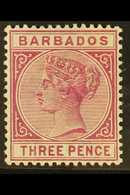 1882-86  3d Deep Purple, SG 95, Fine Mint, Slight Colour Bleed To Gum. For More Images, Please Visit Http://www.sandafay - Barbades (...-1966)