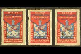 AIR POST SEMI-OFFICIAL  1919 Aero Club Of Canada $1 Red & Blue Toronto-New York, Unitrade CLP 3, Three Examples With Sma - Other & Unclassified