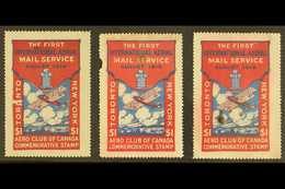 AIR POST SEMI-OFFICIAL  1919 Aero Club Of Canada $1 Red & Blue Toronto-New York, Unitrade CLP 3, Three Examples With Sma - Autres & Non Classés