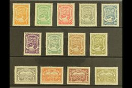 PRIVATE AIRS - SCADTA  1923-28 Complete Set, Scott C38/50 (SG 37/49, Michel 29/39 & 43/44), Never Hinged Mint, The 15c W - Colombia