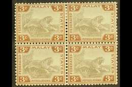 FMS  1904-22 3c Grey And Brown, SG 32, Very Fine Mint Block Of Four, Lower Pair Never Hinged. For More Images, Please Vi - Other & Unclassified