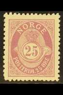 1893  25ore Mauve, Knudsen Printing, Perf 13½x12½, SG 107, Very Fine Mint. For More Images, Please Visit Http://www.sand - Other & Unclassified