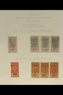 GERMAN OCCUPATION - WAR TAX STAMPS  1917 FINE MINT COLLECTION Neatly Presented On Written Up Album Pages, We See A Delig - Sonstige & Ohne Zuordnung