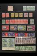 1907-1966 MINT / NHM ACCUMULATION CAT £500+  Presented On Stock Pages With KGV Defins To 11d, Jubilee Set, KGVI Duplicat - British Solomon Islands (...-1978)