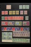 1907-1966 MINT / NHM ACCUMULATION CAT £500+  Presented On Stock Pages With KGV Defins To 11d, Jubilee Set, KGVI Duplicat - Islas Salomón (...-1978)