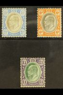TRANSVAAL  1904 - 09 2½d, 6d And £1 On Chalk Paper, SG 253b, 266a, 272a, All Very Fine And Fresh Mint. (3 Stamps) For Mo - Sin Clasificación